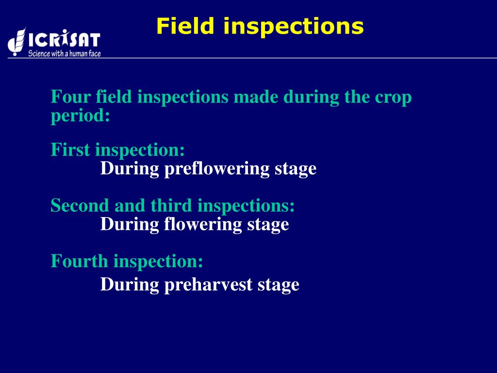 PPT Seed classes, seed Production and purity tests in By IDK