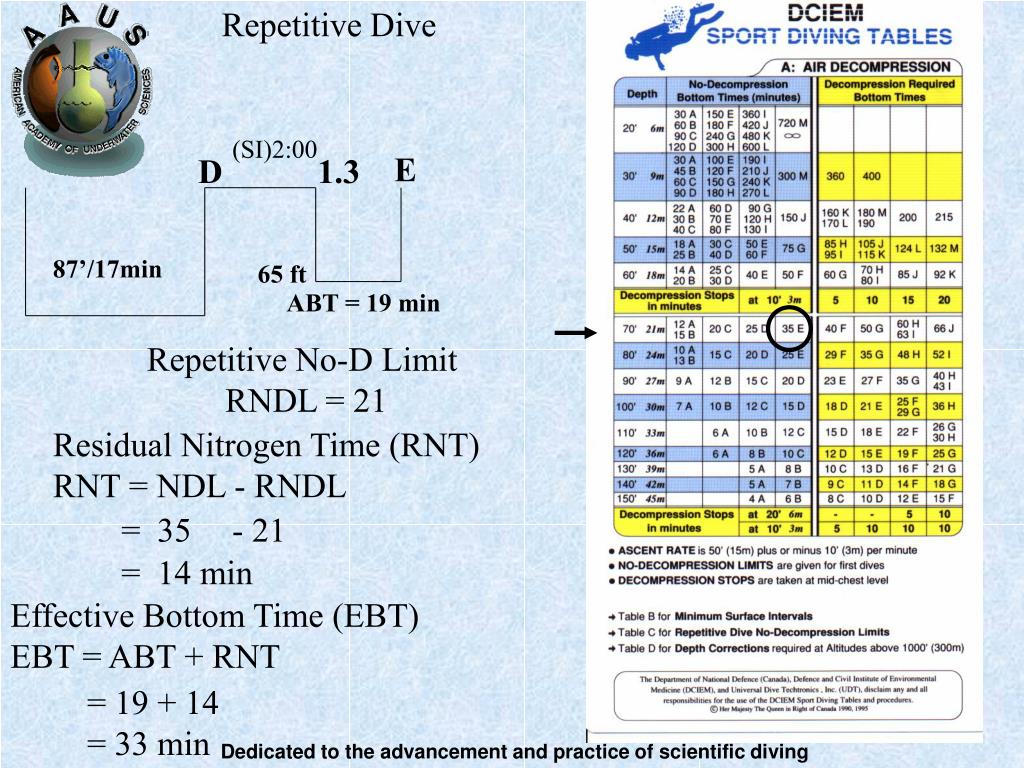 PPT Dive Tables PowerPoint Presentation, free download ID5131449