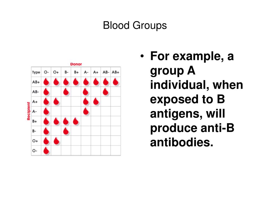 PPT Human Blood Groups PowerPoint Presentation, free download ID
