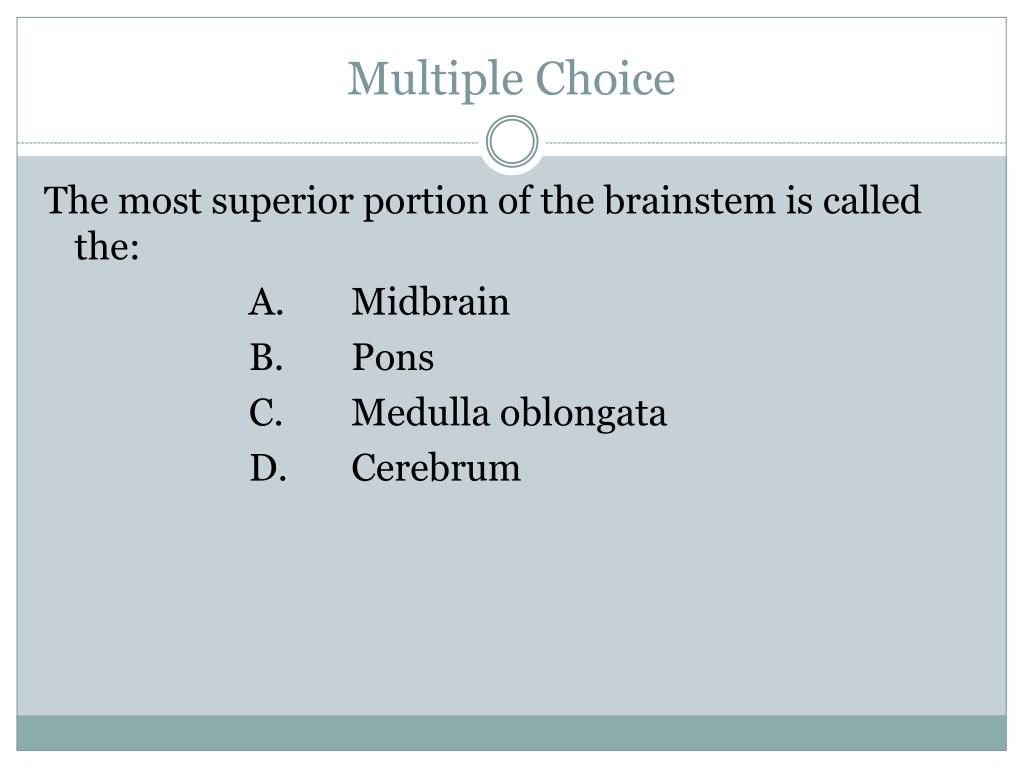 PPT Unit 8 Seminar PowerPoint Presentation, free download ID5135022