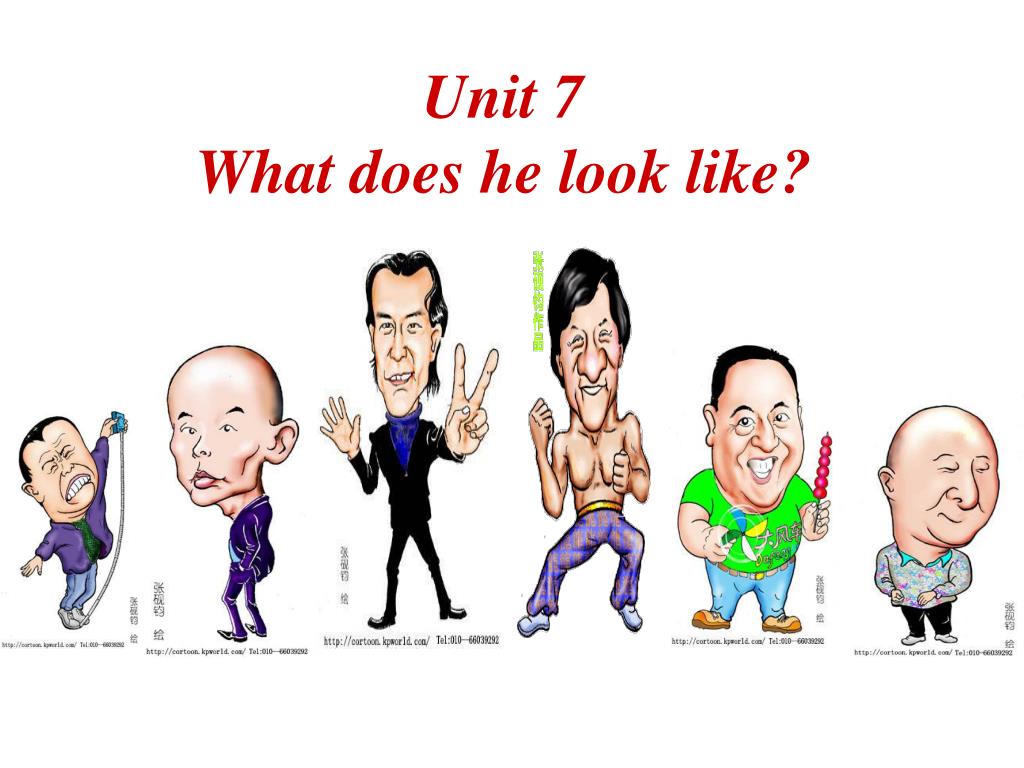 PPT - Unit 7 What does he look like? PowerPoint Presentation, free download  - ID:5135593