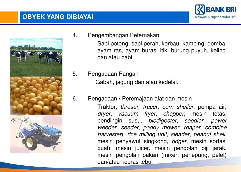 PPT PT. BANK RAKYAT INDONESIA (PERSERO) Tbk. PowerPoint Presentation