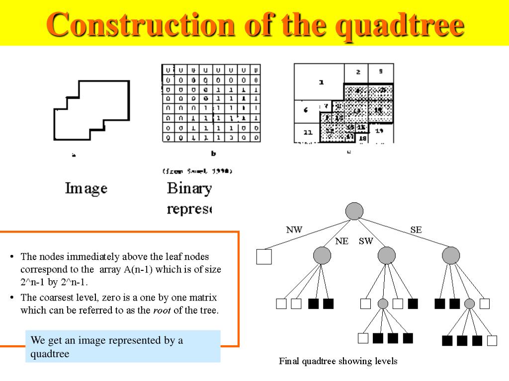PPT Quadtrees, Octrees and their Applications in Digital Image