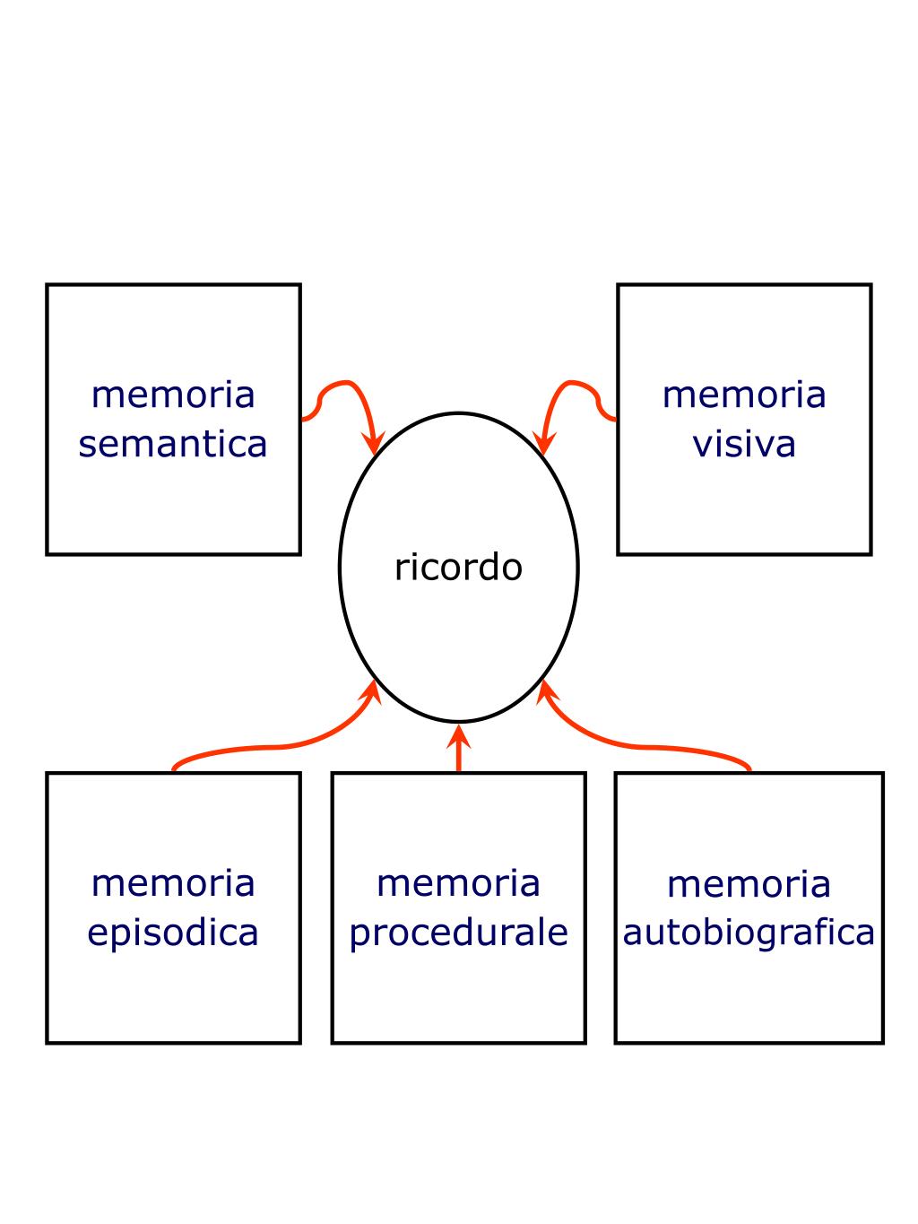 PPT Cosa faremo? 1. MEMORIA Memoria come sistema