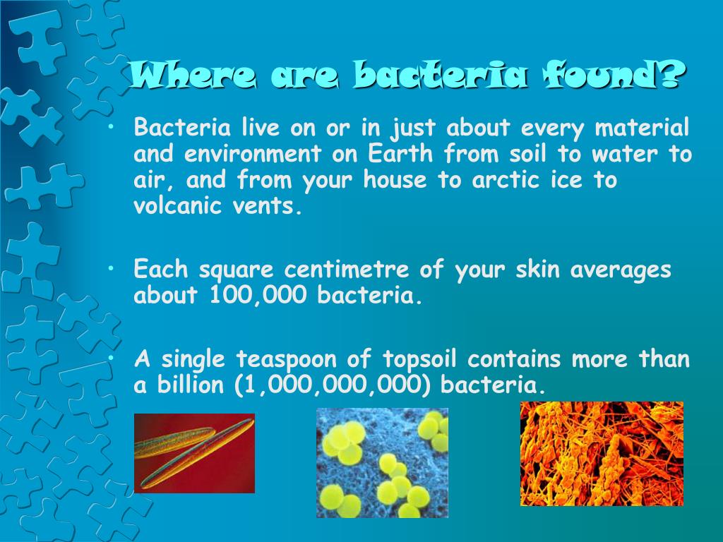 Can Bacteria Live In A Dry Environment at James Lightfoot blog