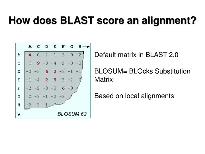 PPT Homology assessment and molecular sequence alignment. PowerPoint