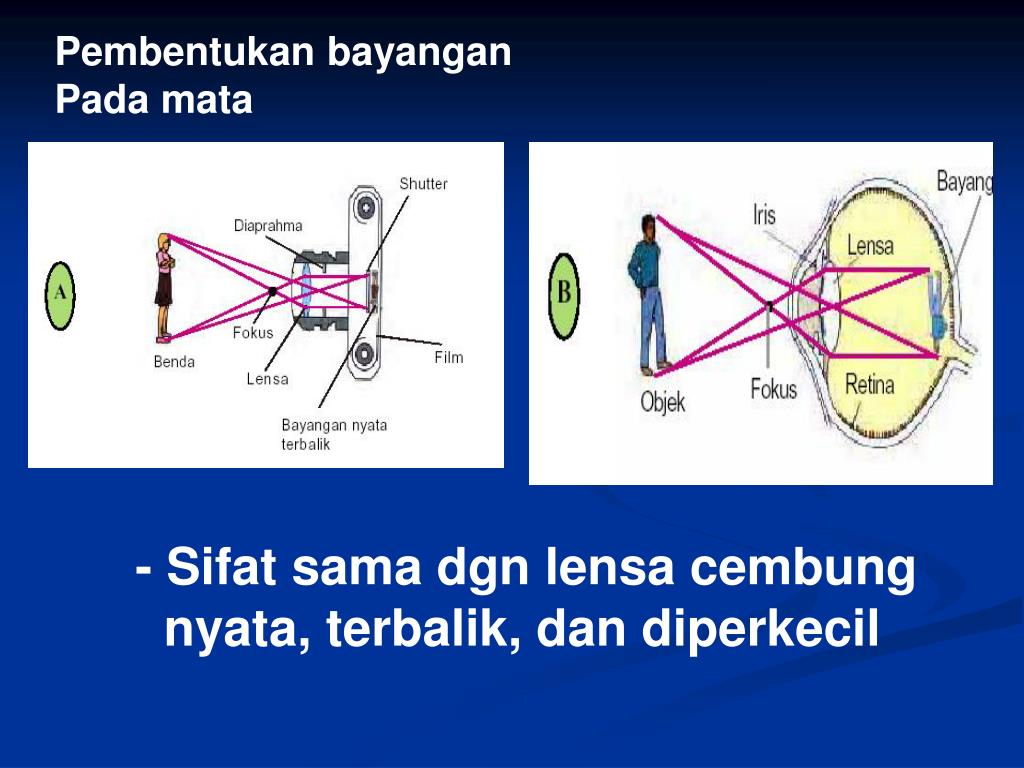 PPT ALATALAT OPTIK PowerPoint Presentation, free download ID5162781