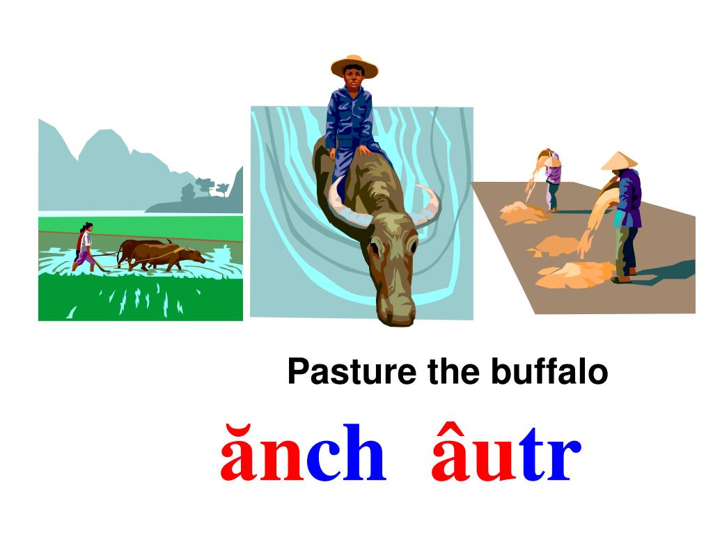 PPT L ư i ỡ PowerPoint Presentation, free download ID5168866