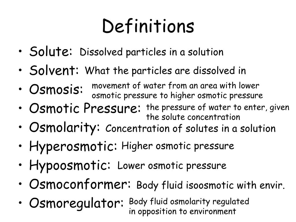 PPT Osmoregulation = keeping water and salt balanced in the body