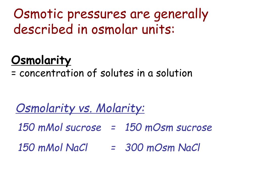 PPT Osmoregulation = keeping water and salt balanced in the body
