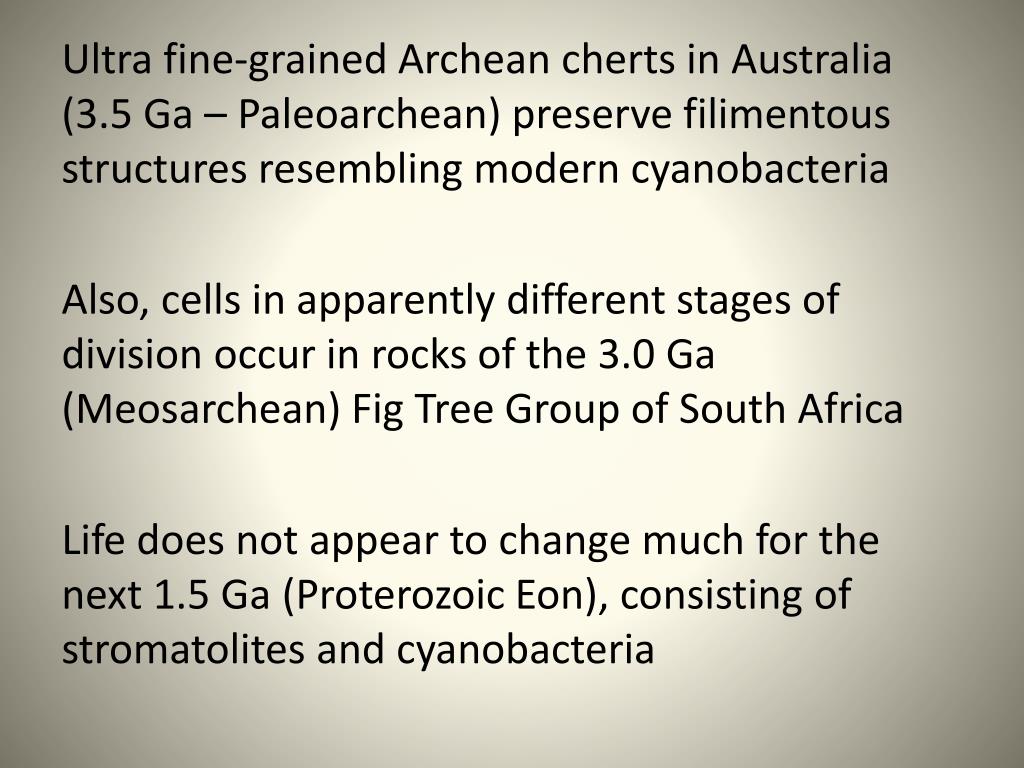PPT The Archean Eon PowerPoint Presentation, free download ID5176127