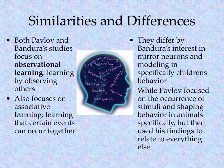 What Is Bandura’s Social Learning Theory? 3 Examples
