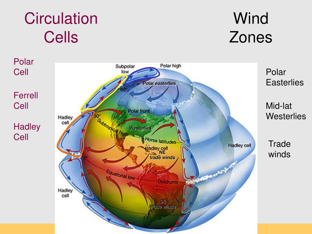 PPT General Atmospheric Circulation PowerPoint