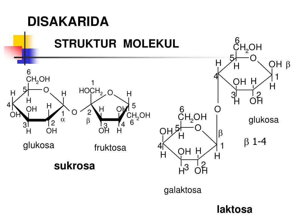 Rumus Kimia Laktosa Dunia Sosial