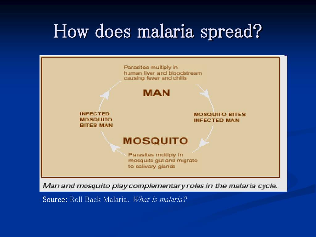 PPT Malaria Control PowerPoint Presentation, free download ID5180849