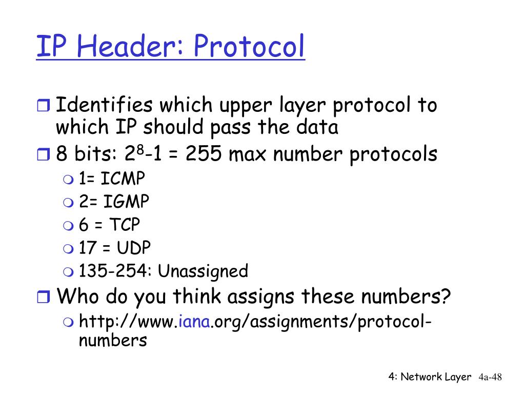 PPT 10 IP Basics PowerPoint Presentation, free download ID5182441