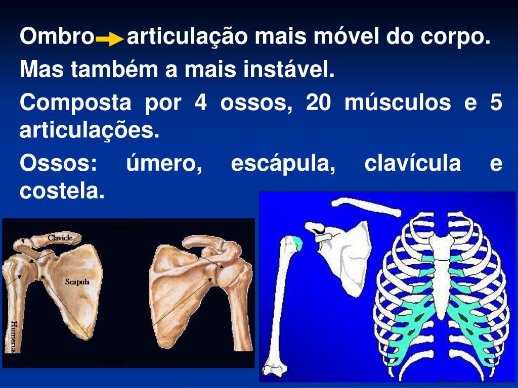 PPT Biomecânica e Cinesiologia do Ombro PowerPoint Presentation, free