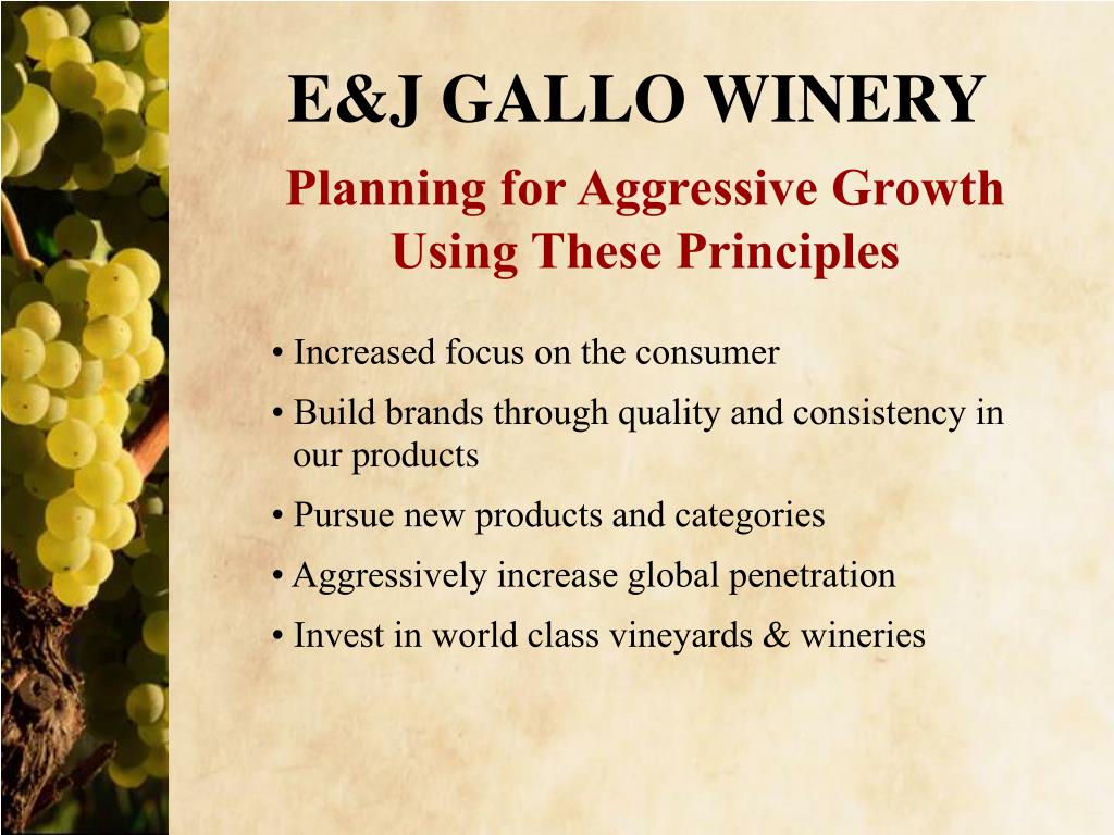 PPT E&J GALLO WINERY Creating A New Tradition PowerPoint Presentation ID5192734
