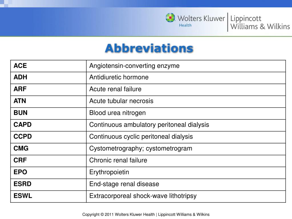 PPT Chapter 13 The Urinary System PowerPoint Presentation, free download ID5193463