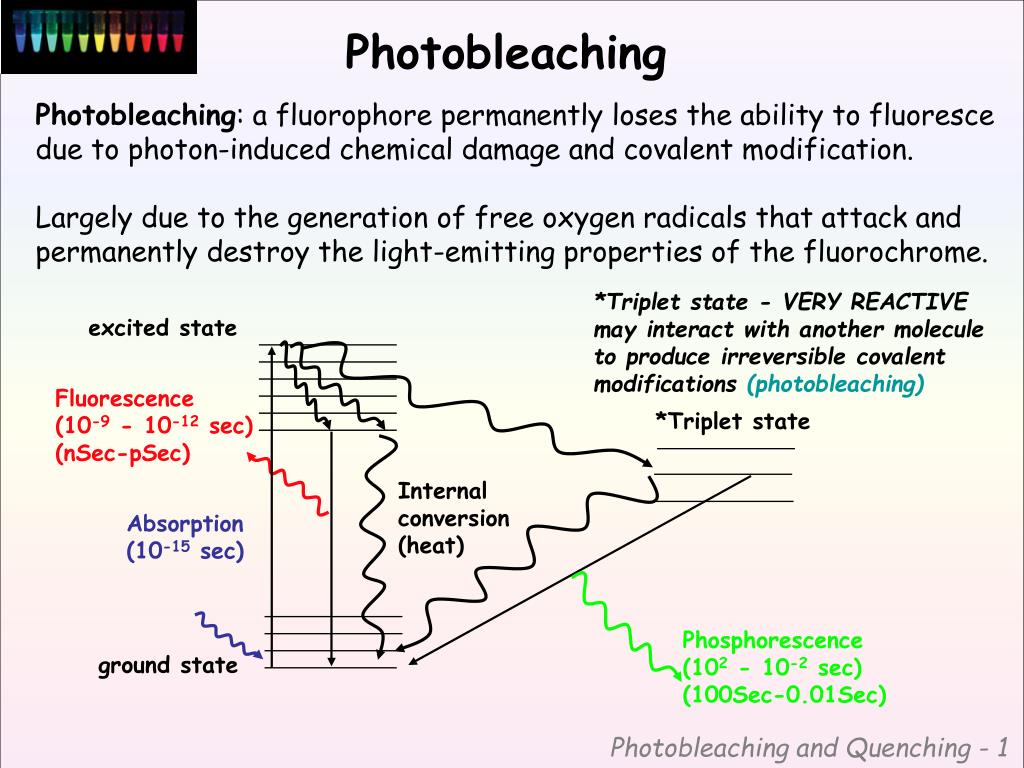 PPT How fluorescence works PowerPoint Presentation, free download