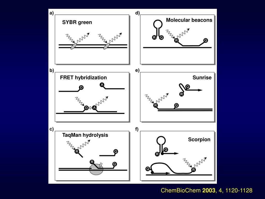 PPT EPID 525 Lecture 3 PowerPoint Presentation, free download ID