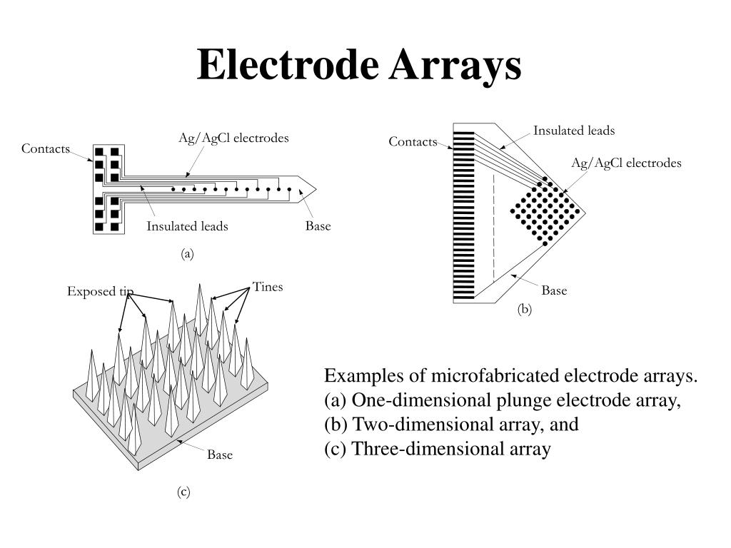 PPT Biopotential Electrodes PowerPoint Presentation, free download