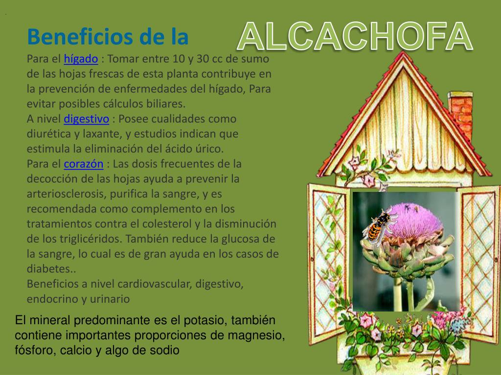 PPT Propiedades Remineralizante. Astringentes.Hemostático PowerPoint