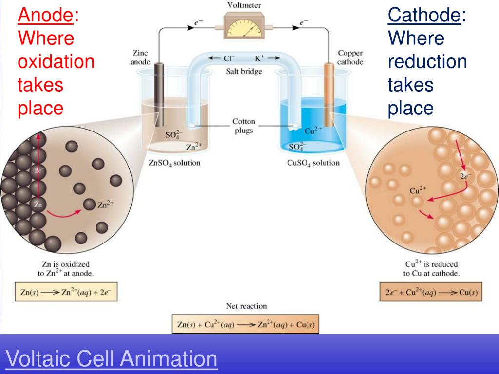 PPT Electrochemical Cells (voltaic cells) PowerPoint Presentation