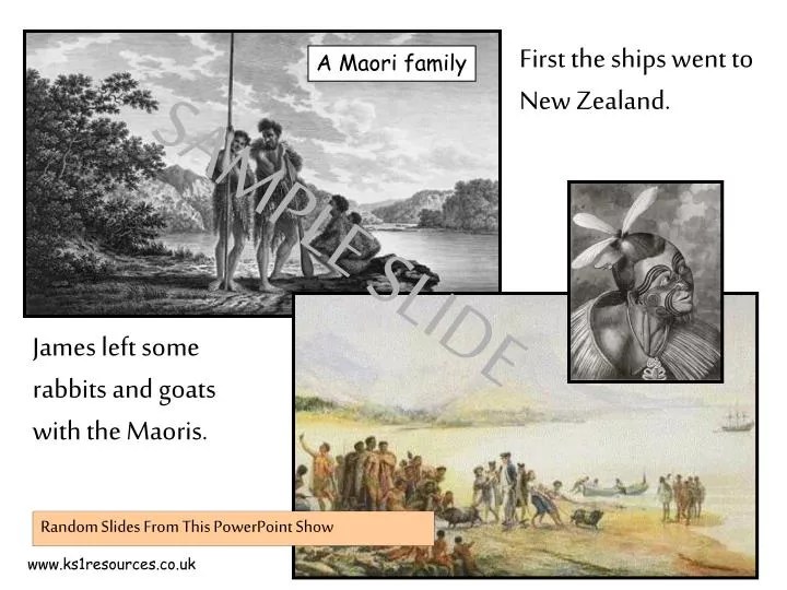 PPT First the ships went to New Zealand. PowerPoint Presentation