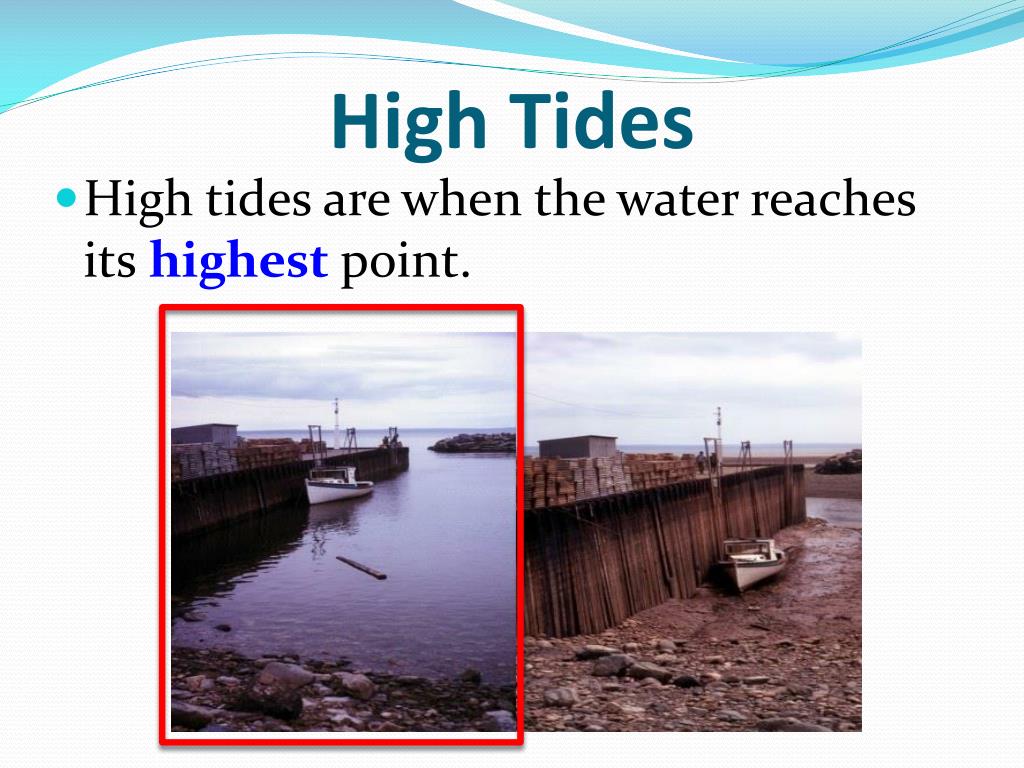 PPT Tides PowerPoint Presentation, free download ID5239100