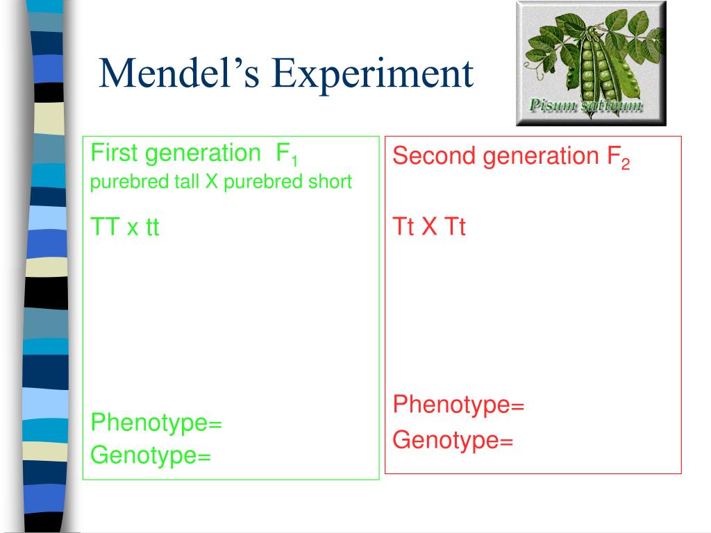 PPT PowerPoint Presentation, free download ID