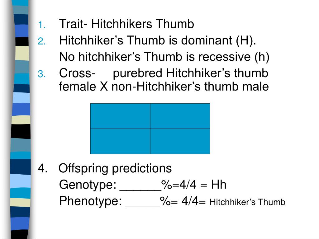 PPT PowerPoint Presentation, free download ID5241479
