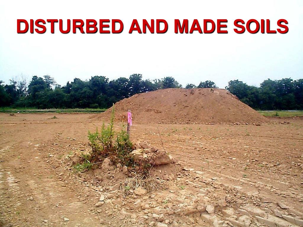 PPT Effects of urban landuse change on soil carbon pools and fluxes