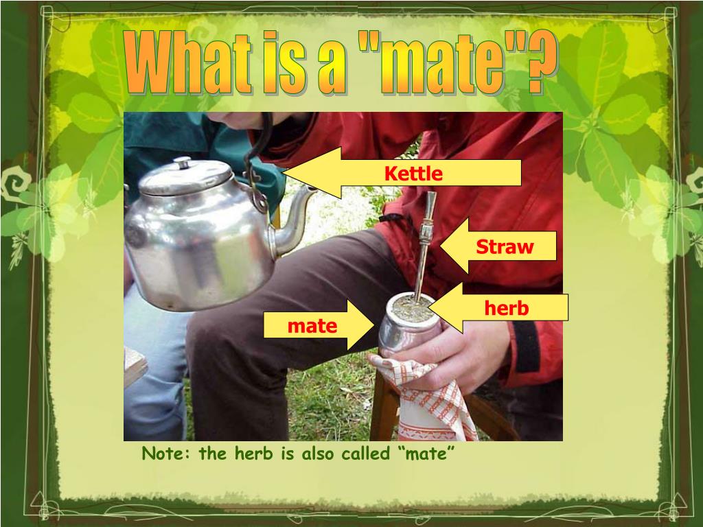 PPT THE MATE PowerPoint Presentation, free download ID5244736