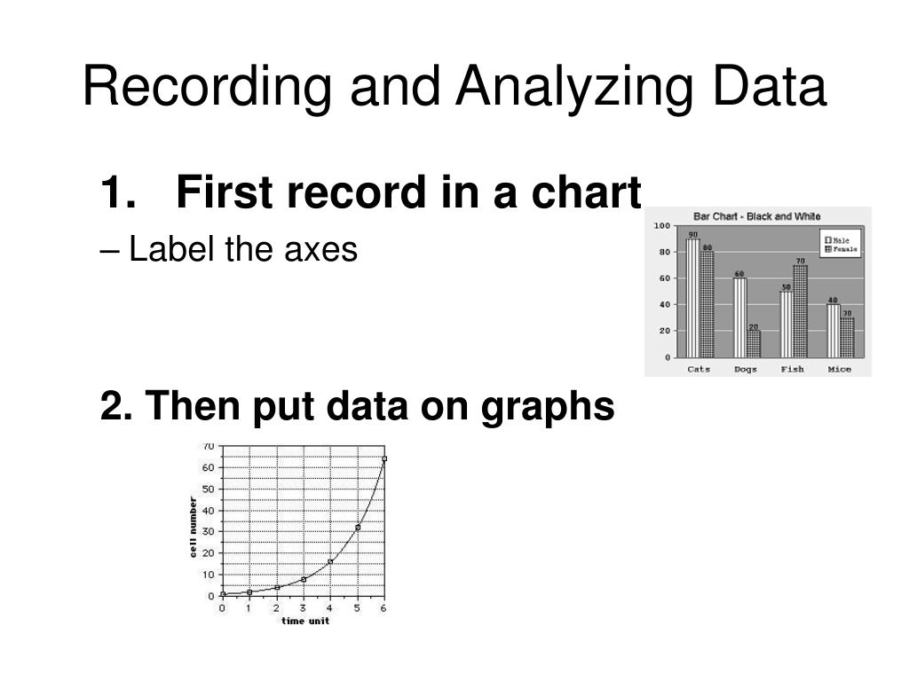 PPT 14 Tools and Procedures PowerPoint Presentation, free download