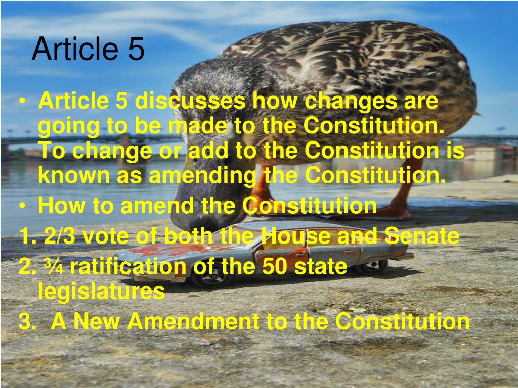 PPT Articles 4 7 of the Constitution PowerPoint Presentation, free