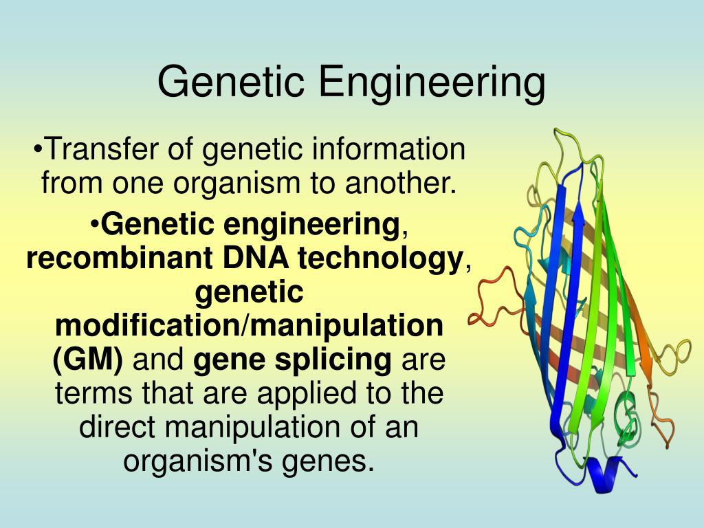 PPT Protein Synthesis PowerPoint Presentation, free download ID5253653