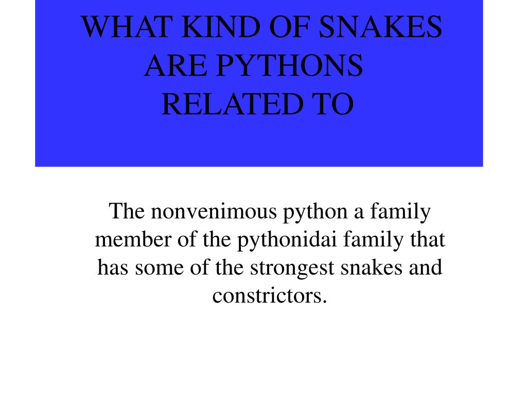 PPT HOW THEY KILL THEIR PREY PowerPoint Presentation, free download