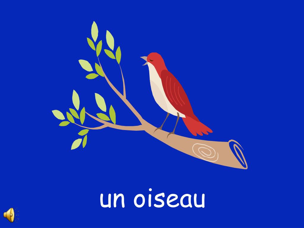 PPT Mimi la fourmi de l’éspace PowerPoint Presentation, free download