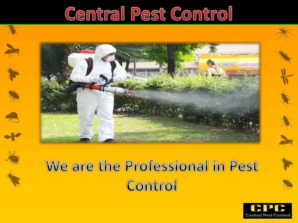 PPT Find The Professional Pest Control in London PowerPoint