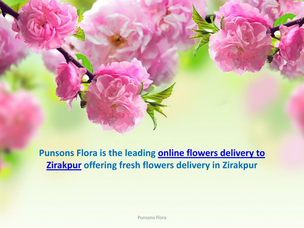 PPT Send Online Flowers Delivery in Zirakpur by Punsons Flora PowerPoint Presentation ID5275320