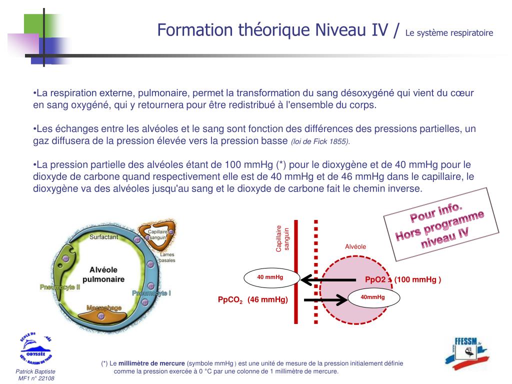 PPT Formation théorique Niveau IV PowerPoint