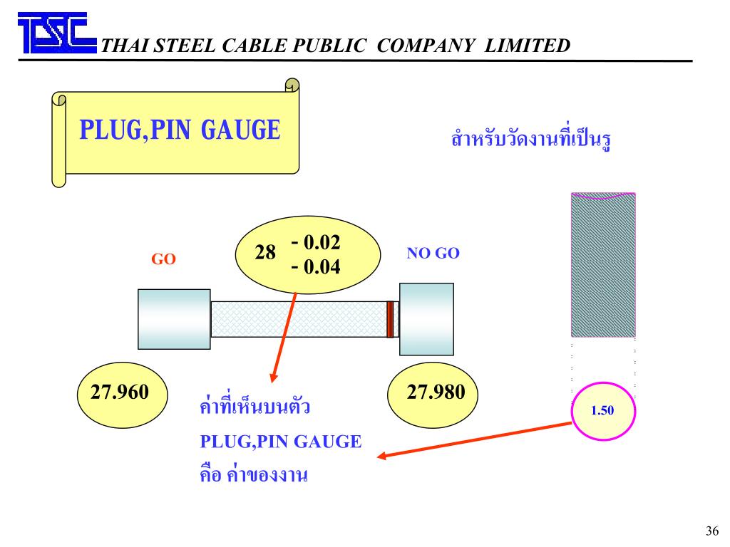 PPT THAI STEEL CABLE PUBLIC COMPANY LIMITED PowerPoint Presentation