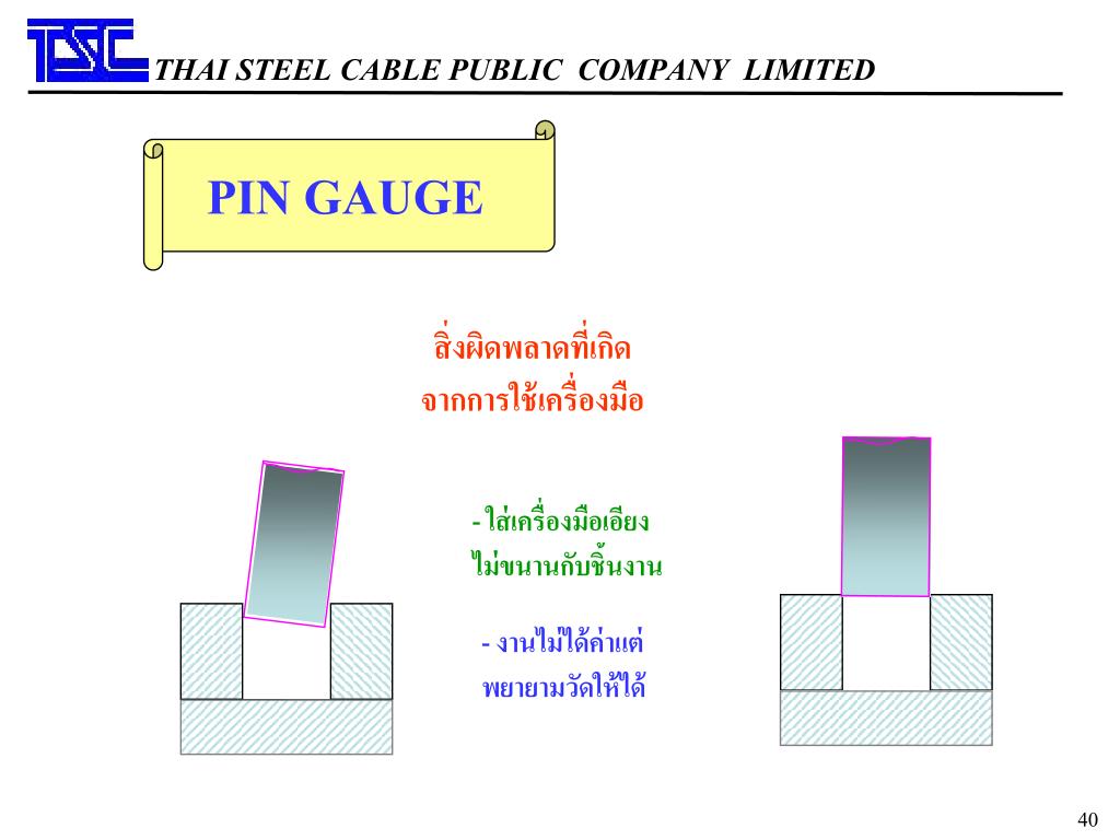 PPT THAI STEEL CABLE PUBLIC COMPANY LIMITED PowerPoint Presentation