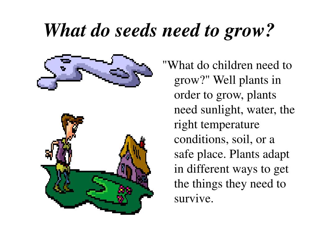PPT Plant Life Cycle PowerPoint Presentation, free download ID5292489