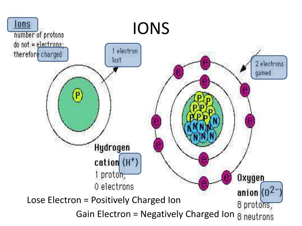 PPT Unit 3 Biochemistry & Plants PowerPoint Presentation, free