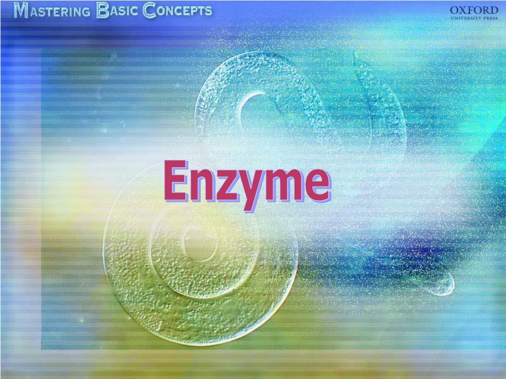 PPT Enzyme PowerPoint Presentation, free download ID5295561