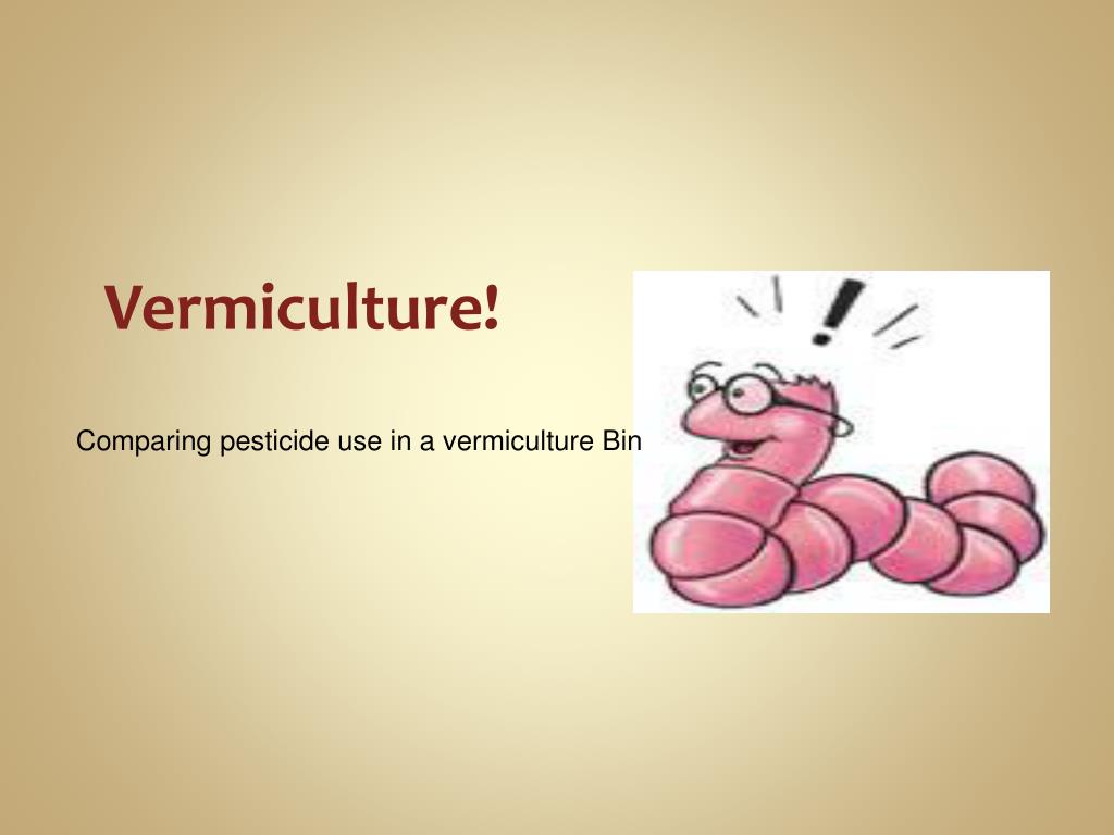 PPT Vermiculture ! PowerPoint Presentation, free download ID5300173