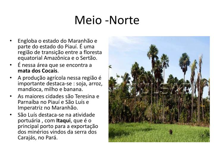 PPT Região Nordeste PowerPoint Presentation ID5300378