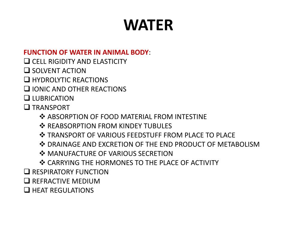 PPT WATER PowerPoint Presentation, free download ID5311568